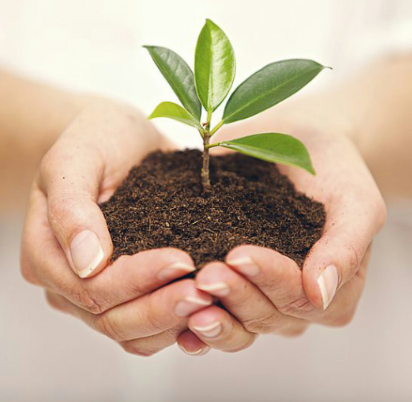 Laboratorio Psicologia Positiva